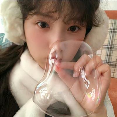 追星星的人第三季